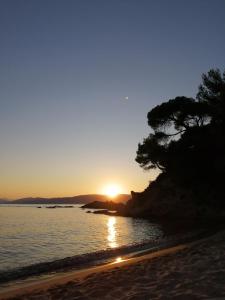 Sunshinehouse Banana beach Skiathos Greece