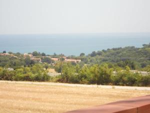 Il Vecchio Mandorlo