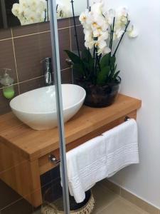 Pensiunea Piscul Cainelui