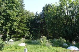 Exclusive Central Apartment