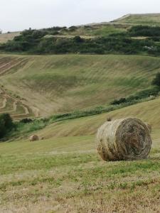 Agriturismo La Spiga