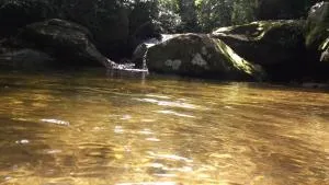 Fazenda Tapinuã - Silva Jardim