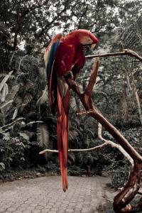 Berakah B&B- Central Park