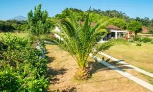 Casa Amaral - Santa Luzia