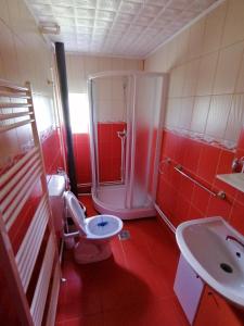 Quadruple Room with Shared Bathroom room in Pensiunea Poarta Lui Ionele