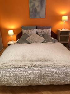 Apartmán Orchidej u Vřídla