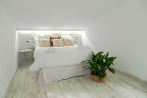 playa sin aglomeraciones, tarifas especiales cerca de Puerto Banús