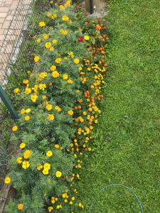 Plitvice Mountain Spring