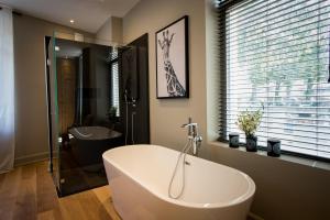 Appartements La Suite d'Elisabeth : photos des chambres