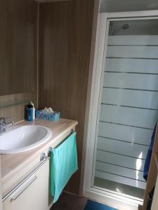 Mobil-home 75 au Camping Le Rioumajou