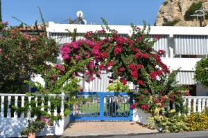 Antonios Apartments Stegna Rhodes Greece