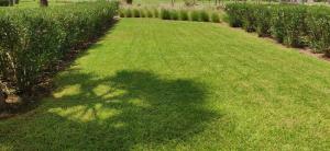 Magnifique appart vue sur golf