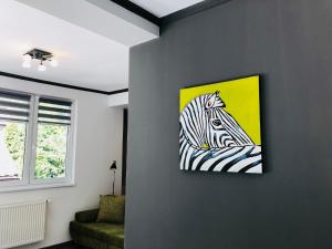 Luxury Modern Apartments