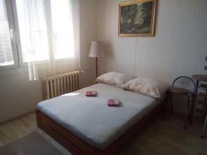 3 hvězdičkový apartmán Studio type Plzeň Česko