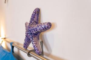 Appartamento Stella Marina