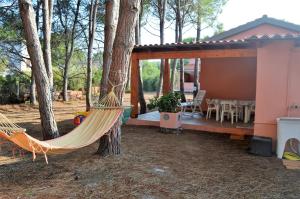 Pineta Spiaggia Grande 2 img1