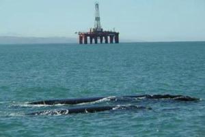 Blue Water Bay Holiday Apartment