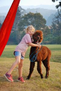Canungra Valley Cottage