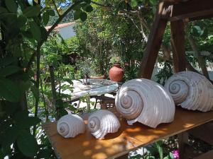 Stamatia's Garden Skopelos Greece