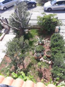 Apartman Grospic 