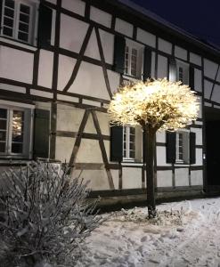 Gemütliche Fachwerkwohnung