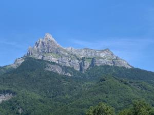 Appartements Le Mont Joly : Appartement 3 Chambres