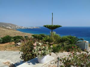 Villa Ioanna Tinos Greece