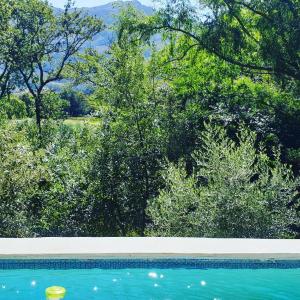 Little Willow Brooke