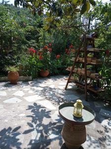 Stamatia's Garden Skopelos Greece