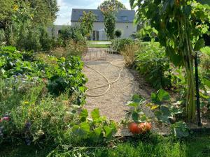 Maisons de vacances Le Gite du Chemin Vert : photos des chambres