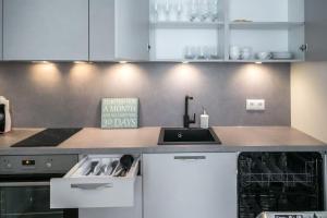 Kalamehe Modern Apartment 2 near City center