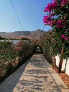 Villa Marianna ALINDA LEROS Leros Greece