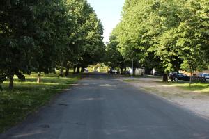 LES TRESORS DE LIZZIE photo 12