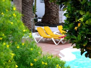 Apartamentos Tamarindos