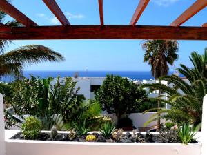 Apartamentos Tamarindos