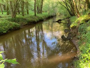 Sejours a la campagne Cottage : photos des chambres