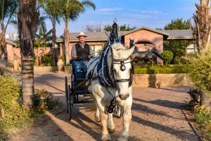 Maretlwane Guesthouse