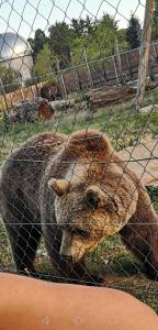 Plitvice Mountain Spring