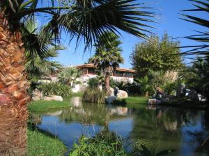 Campings Camping Le Mediterranee Argeles - Domaine pietonnier : photos des chambres