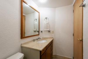 Lovely apartment Ahuehuetes