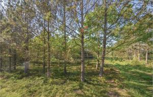 Three-Bedroom Holiday Home In Hurup Thy