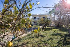 Ferienhaus Family and friendly home. Palaia Fokaia Griechenland