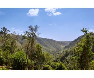 Thomsons Falls Lodge