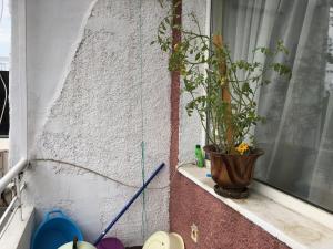 Jivkos Studio