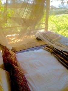 Casa sullalbero - Only for lovers Experience -