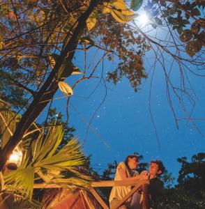 El Tigrillo Rio Claro by Los Colores Ecoparque