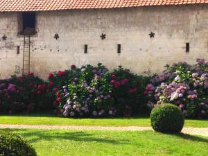 Maisons de vacances Florimont - Vaste gite a la ferme : photos des chambres