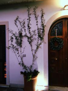 Holiday House D Anna 68