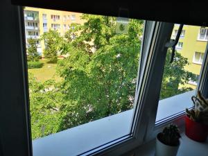 Poza zgiełkiem miasta a jednak wszystko w zasięgu