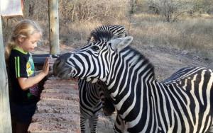 Marlothii Safari House
